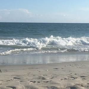 Meet your Posher, Robin